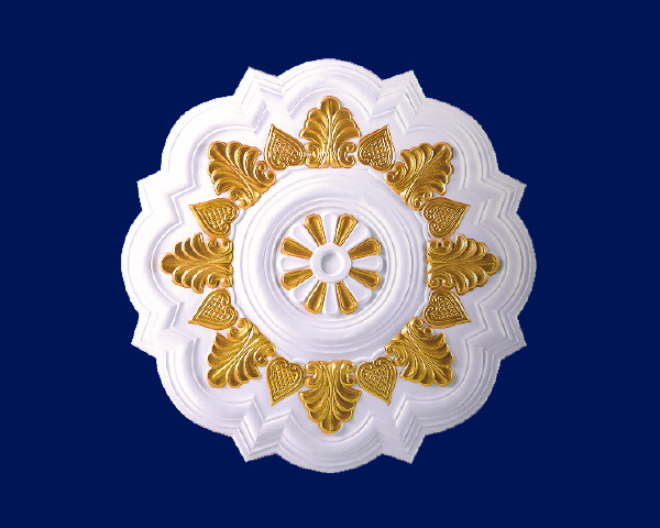 d023.jpg